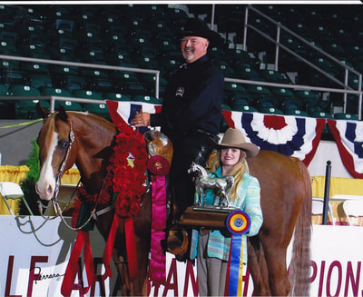 Magnums Shogun+// The ONLY 4 time US National Champion Western Trail Horse.